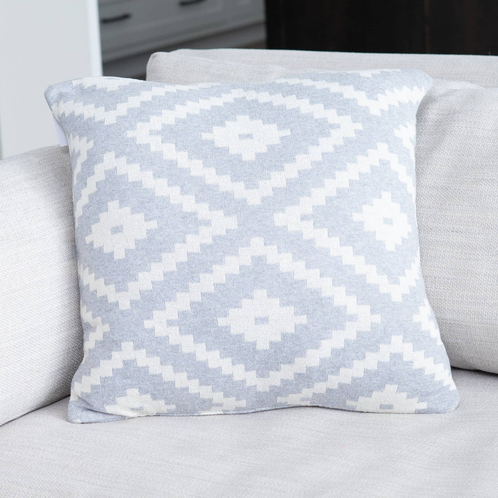 Auden 18X18" Recycled Cotton Decorative Throw Pillow