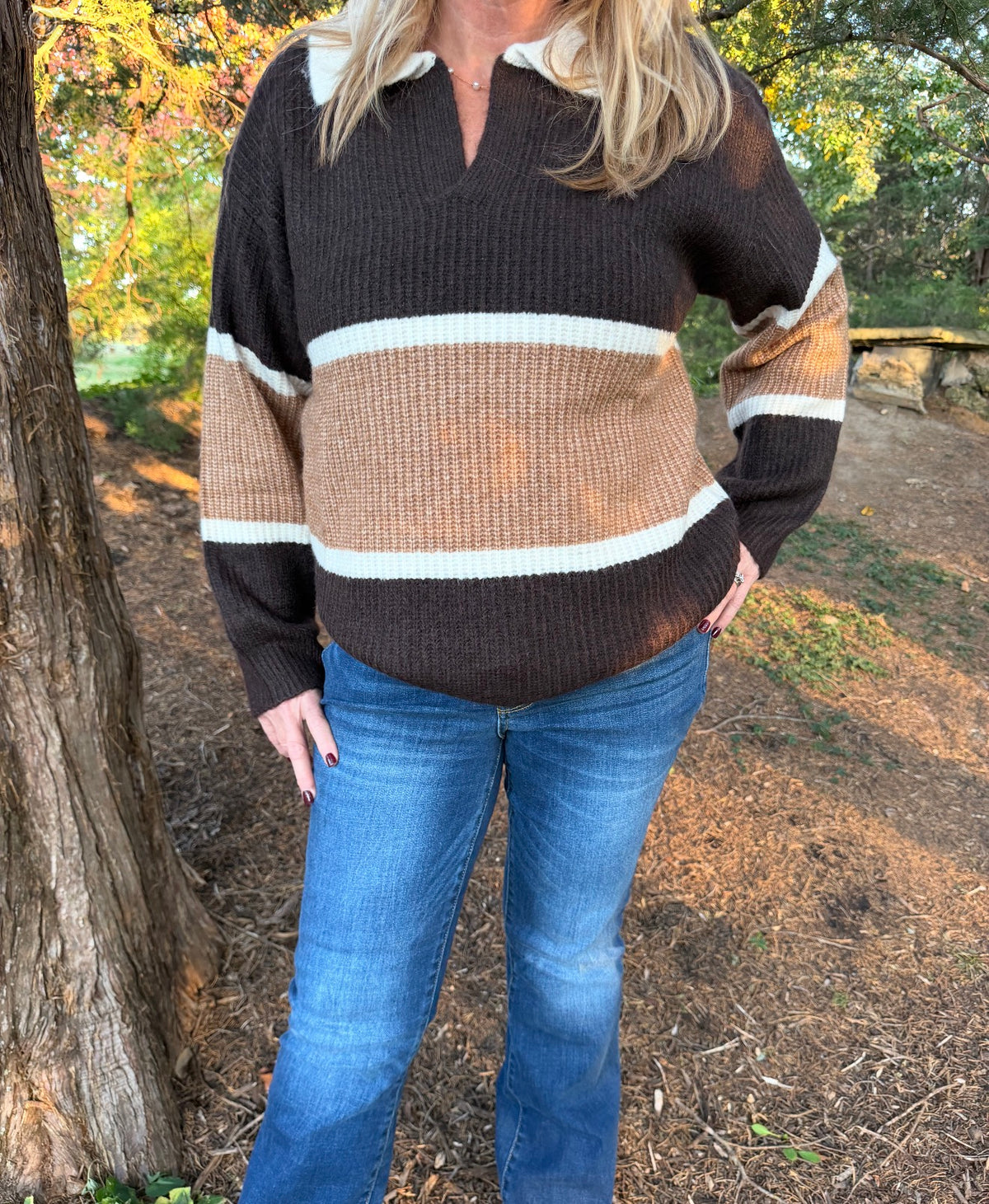 Chocolate & Camel Collared Color block Sweater