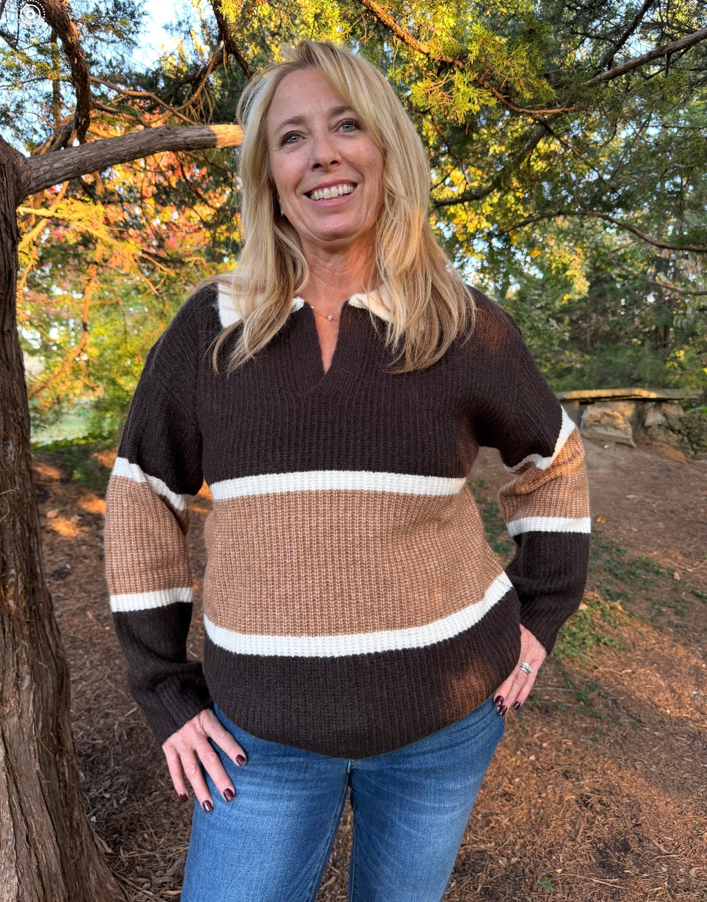 Chocolate & Camel Collared Color block Sweater
